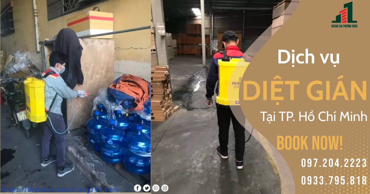 DỊCH VỤ DIỆT GIÁN TẠI TP HỒ CHÍ MINH